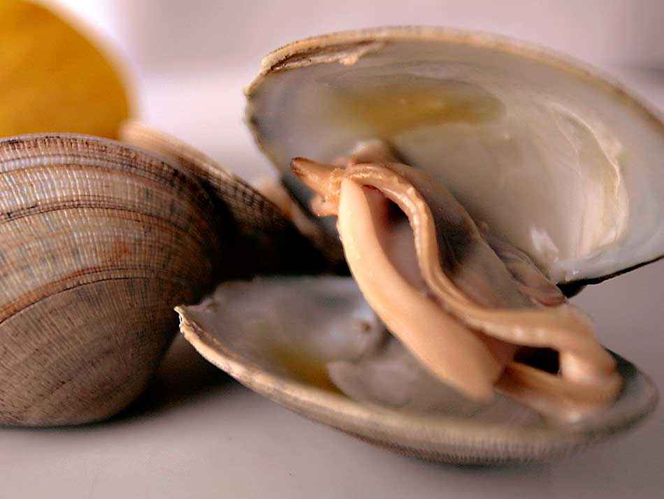 Avui us presentem un plat on la matèria primera és l'única protagonista: el nostre Arròs Negre de calamar de “potera” i cloïsses del “Carril”. 🥘