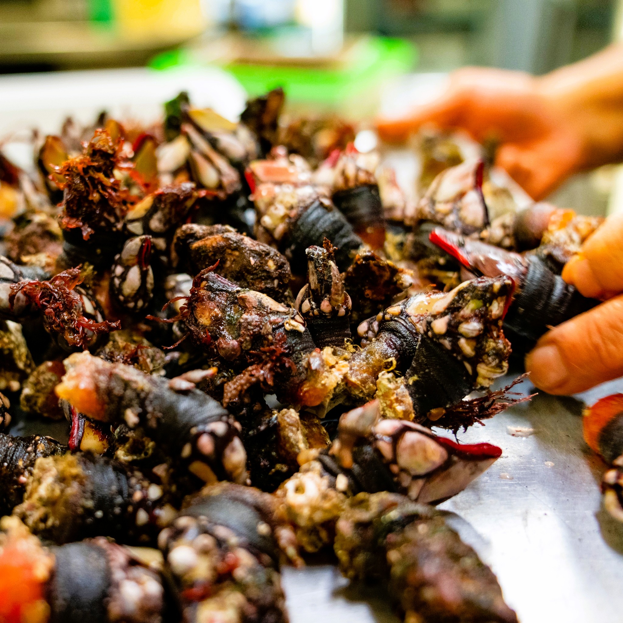 🦐🔥 AL RACÓ D’EN JOSEP, EL MARISC ÉS EL QUE MANA 🔥🦐 Si busques el millor marisc prèmium d’Andorra, amb varietat, qualitat i un preu imbatible, el trobaràs només al Restaurant Racó d’en Josep. Som líders perquè treballem amb producte fresc, cuidat i seleccionat com cal. 🐟 Especialistes en peix i marisc • Marisc prèmium amb una relació qualitat–preu única • Peix fresc cuinat al punt • Plats de carta que enamoren i un menú que sorprèn • Sabors autèntics que ens defineixen des de sempre 📍 Ens trobaràs just davant de l’Hotel Suites Plaza i de la botiga Microsistemes, i molt a prop d’un dels edificis administratius del Govern d’Andorra. Una ubicació perfecta per venir a gaudir d’un bon àpat en qualsevol moment. Vine a descobrir per què som un referent a Andorra. 🔖 #RacóDenJosep #MariscPremium #PeixFresc #GastronomiaAndorrana #AndorraExperience 